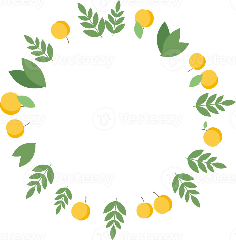 Round frame of apricots and green leaves in flat png