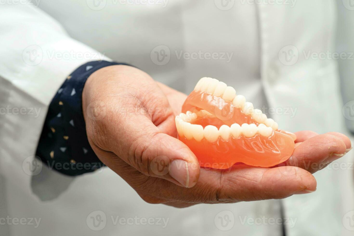 Denture, dentist holding dental teeth model to study and treat in hospital. photo