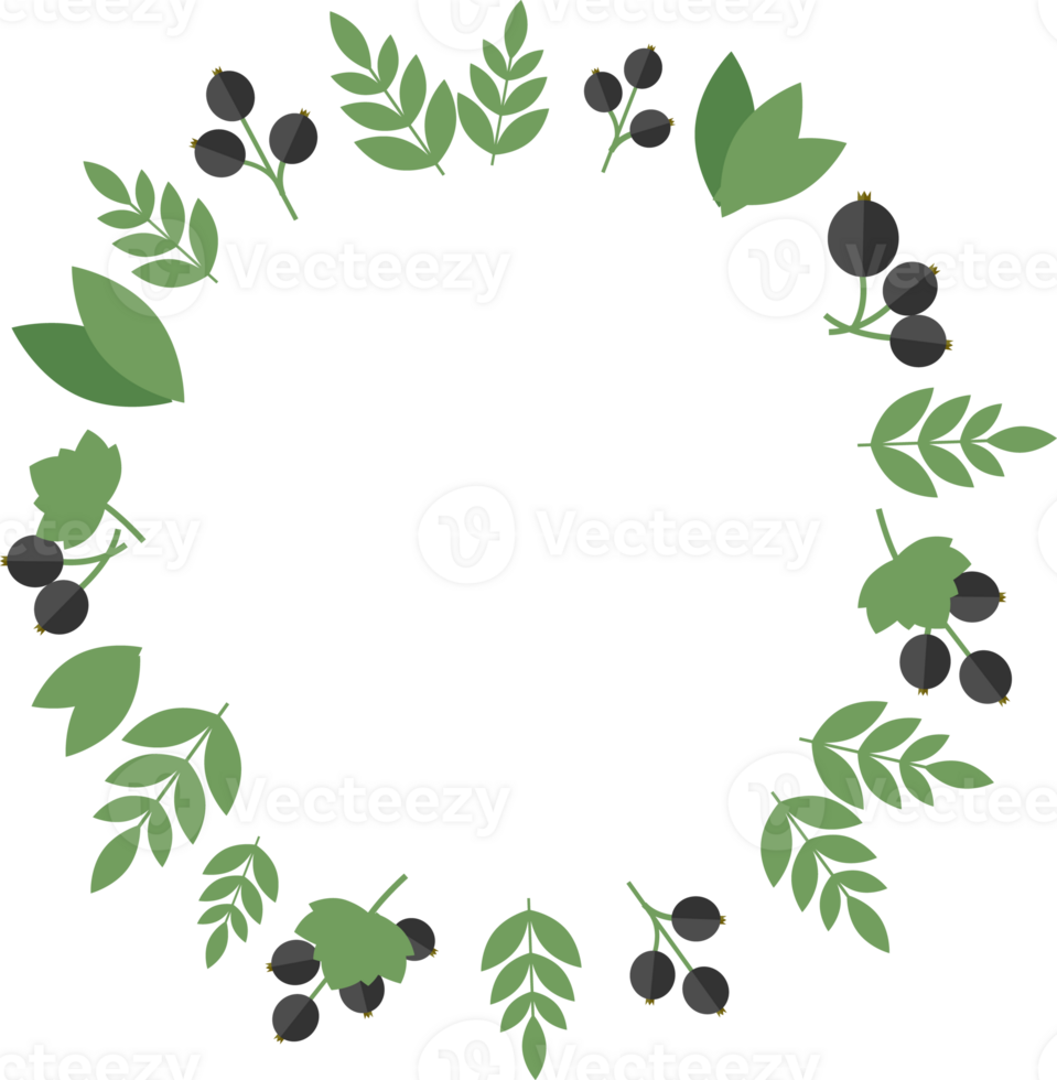 Round frame of blackcurrant berries and green leaves in flat png