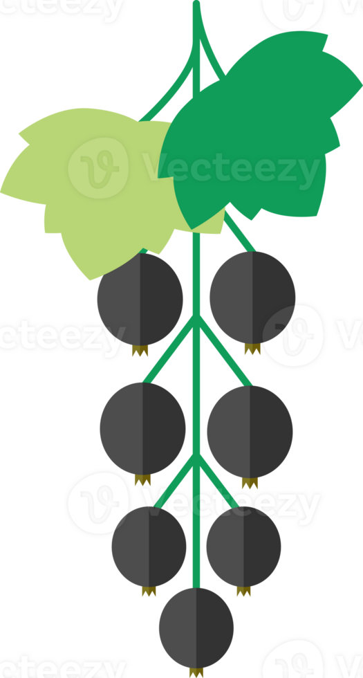 Fresh black currant flat icon png