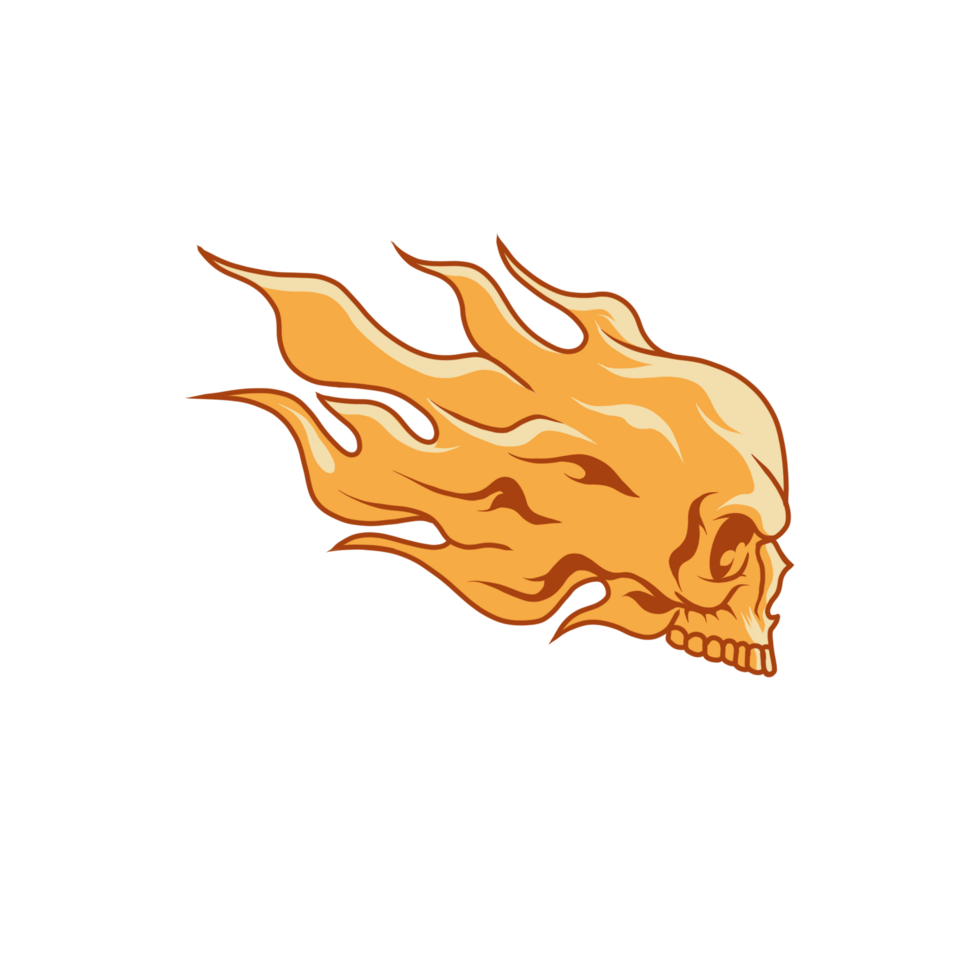 Skull fire duotone png