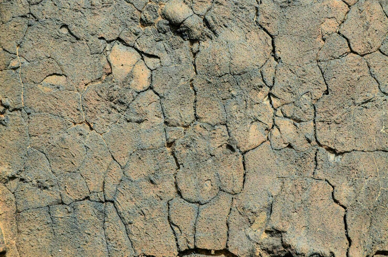a close up of a rock wall with cracks photo