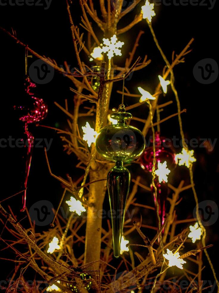 christmas time in the garden photo
