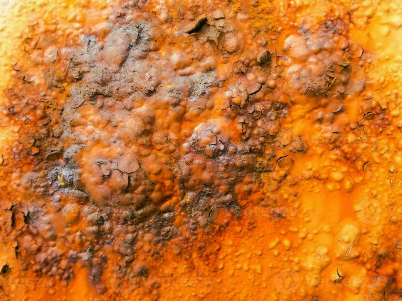 rusty orange background photo