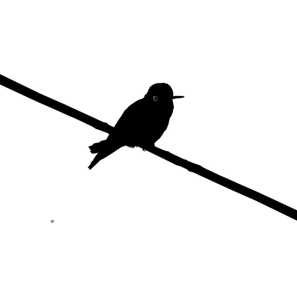 Perched Hummingbird Silhouette, can use Art Illustration, Website, Logo Gram, Pictogram or Graphic Design Element. Vector Illustration