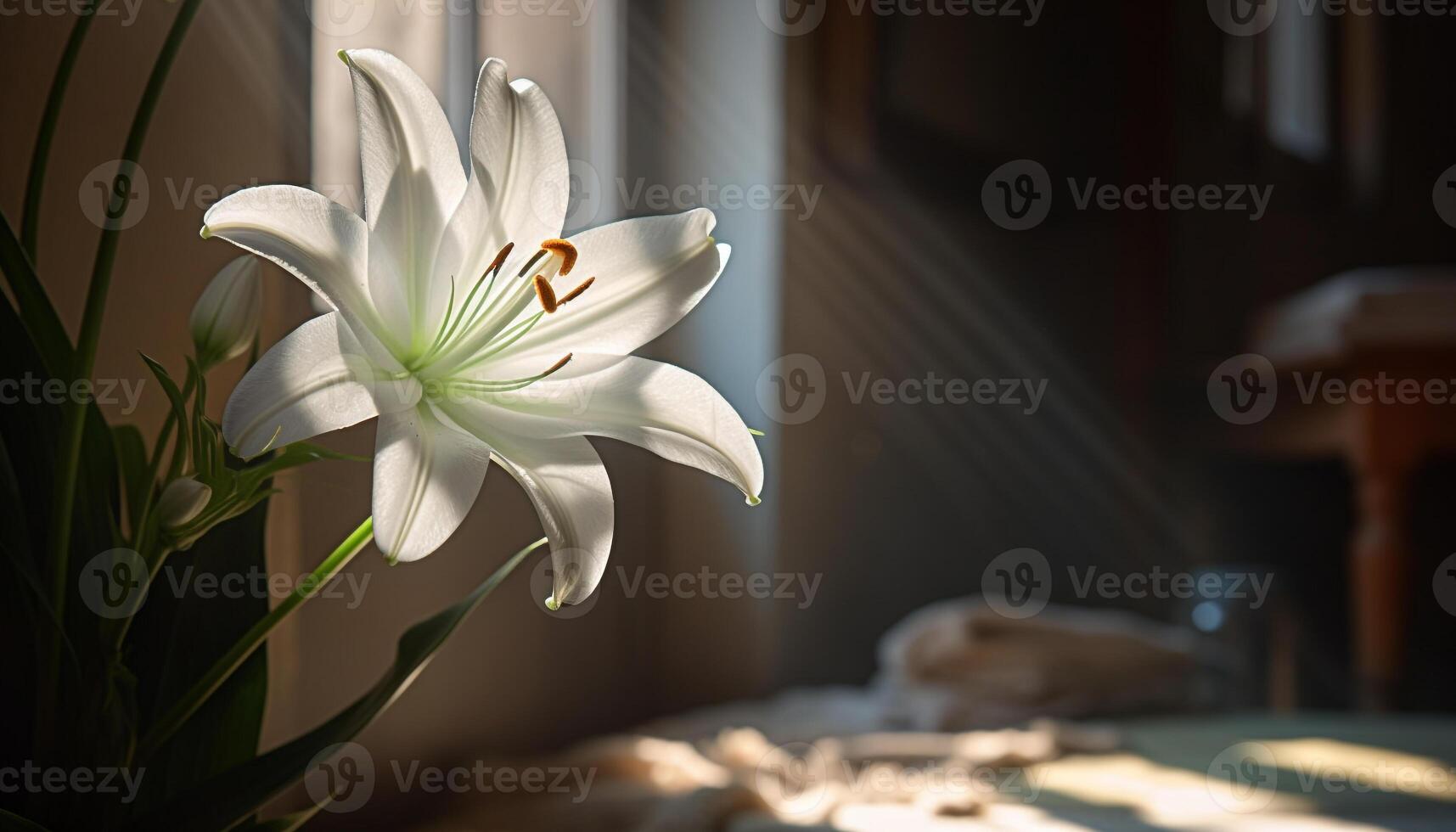 A beautiful flower blossom in a vase brings nature indoors generated by AI photo