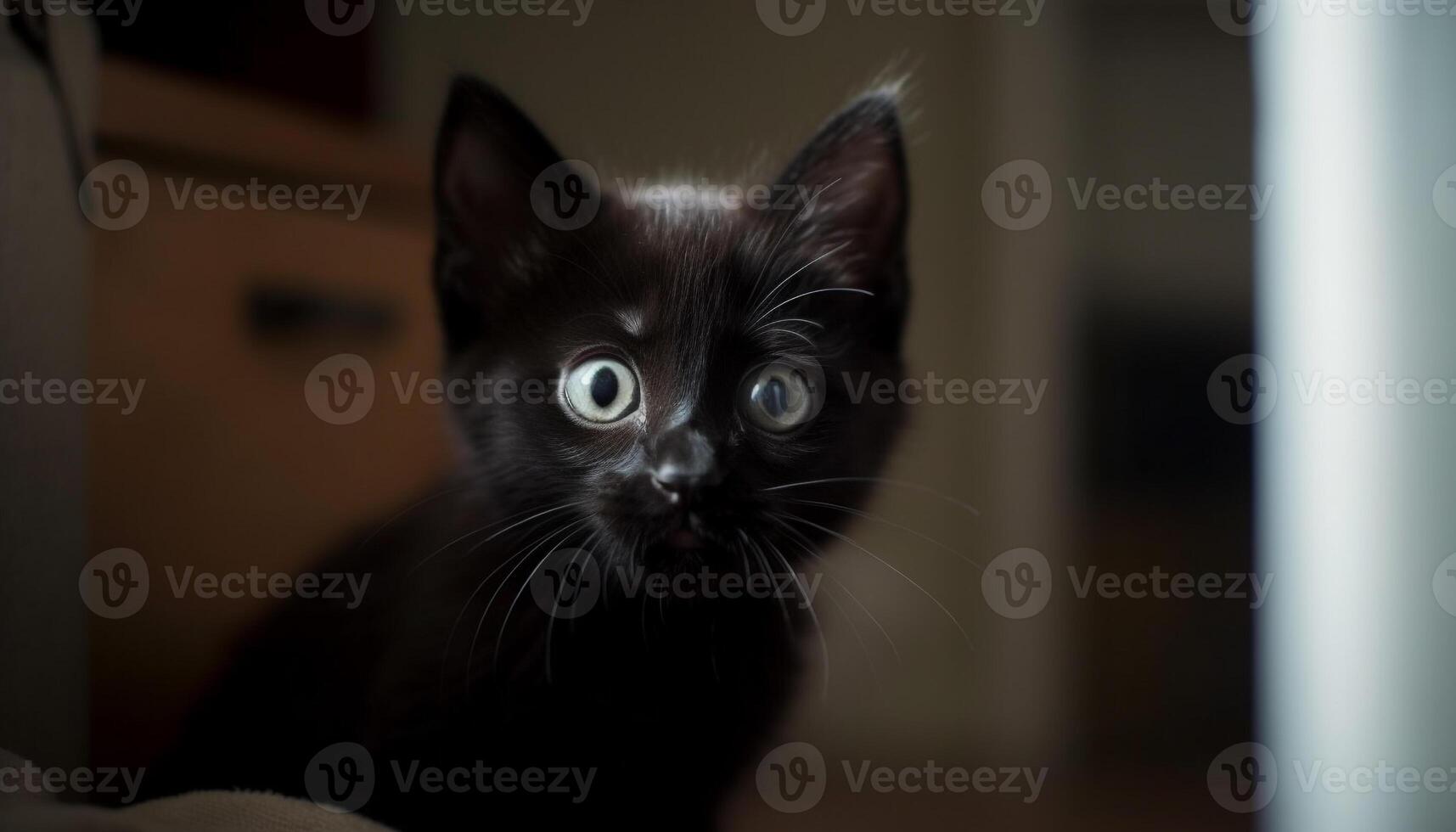 linda gatito curioso, bigotes retorciéndose, juguetón curiosidad en sus ojos generado por ai foto