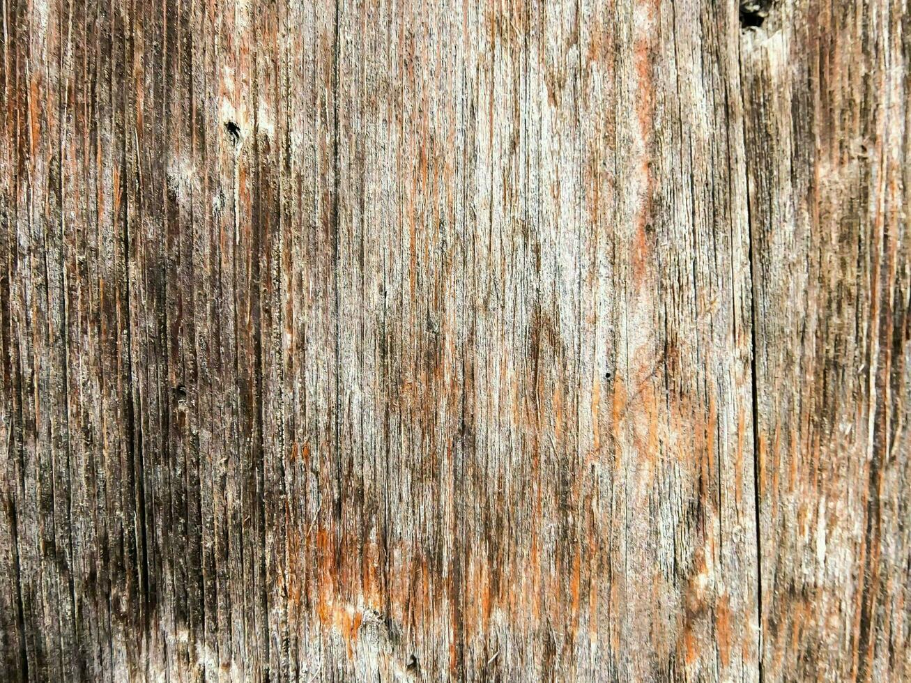 Wood background texture photo