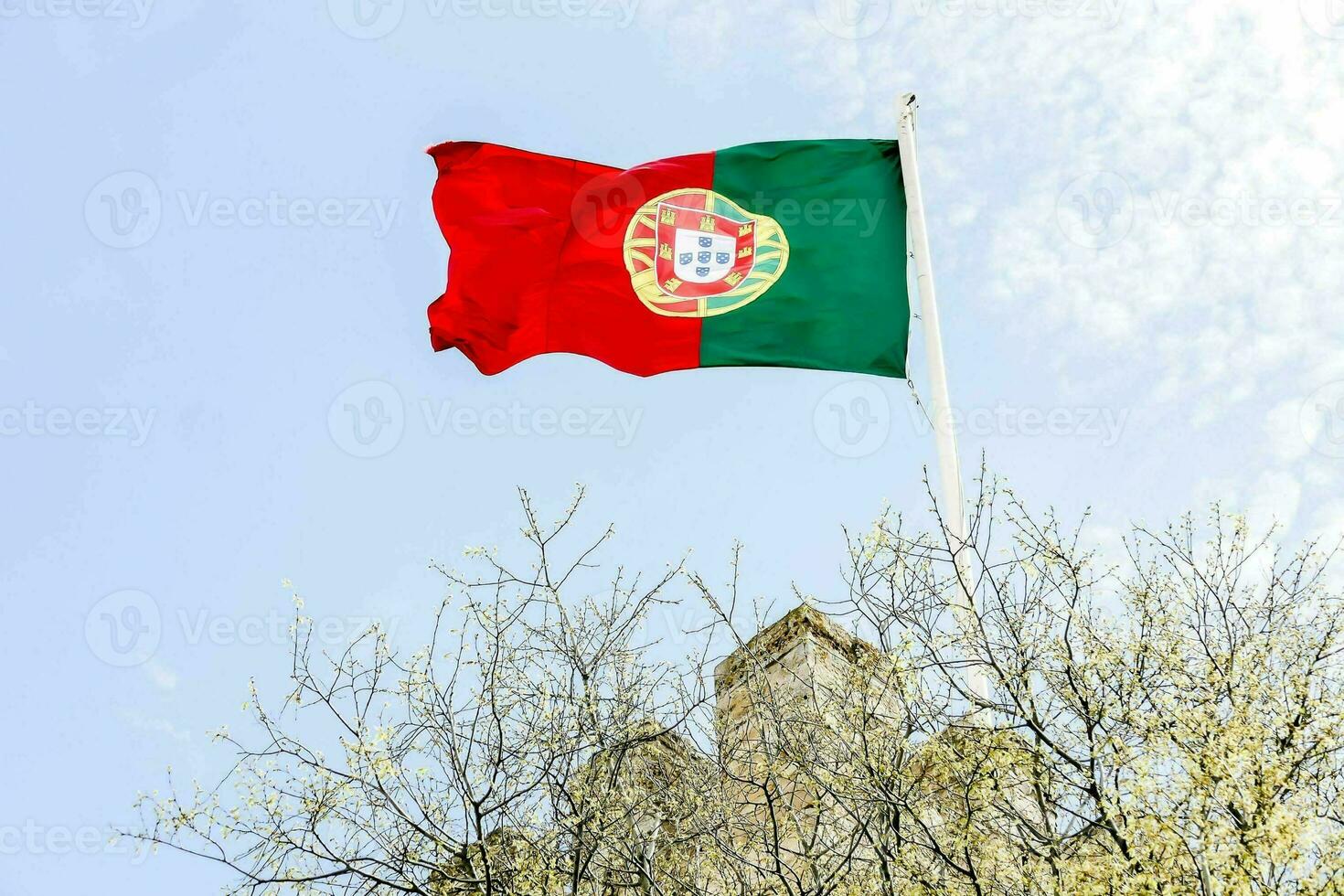 un ondulación bandera foto