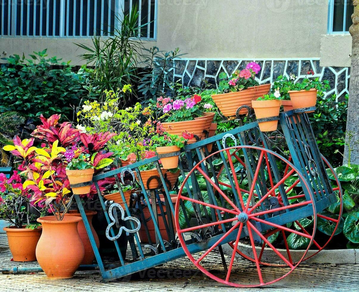 A flower cart photo