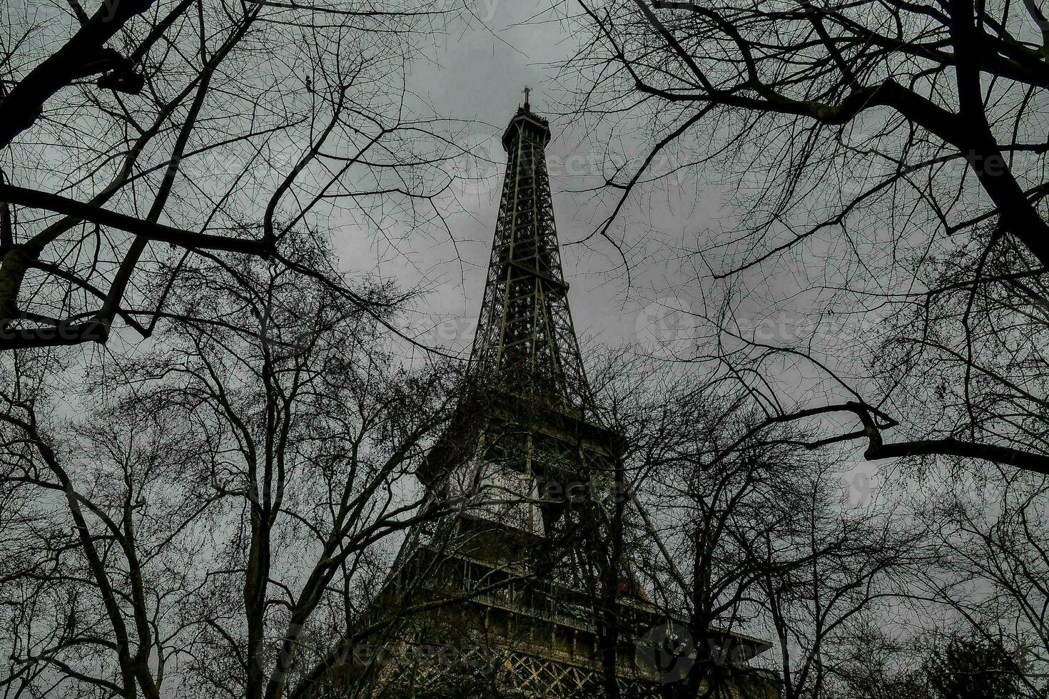 The Eiffel Tower photo