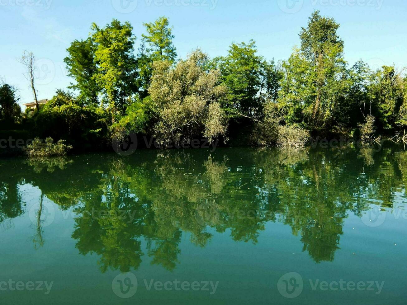 a lake with trees reflecting in the water photo