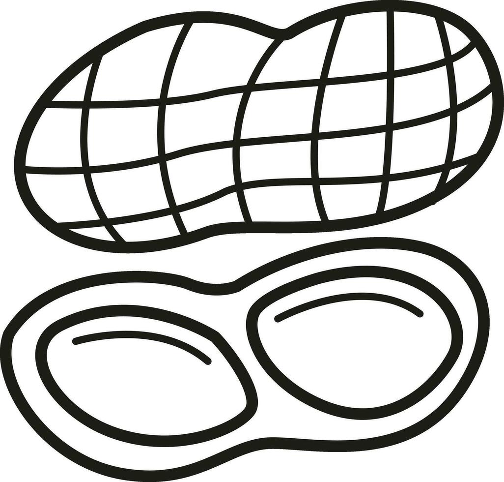 Illustration black and white nut vector
