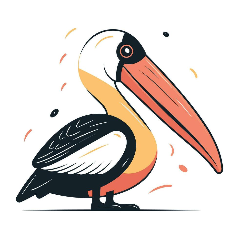 Pelican vector illustration. Isolated pelican on white background.