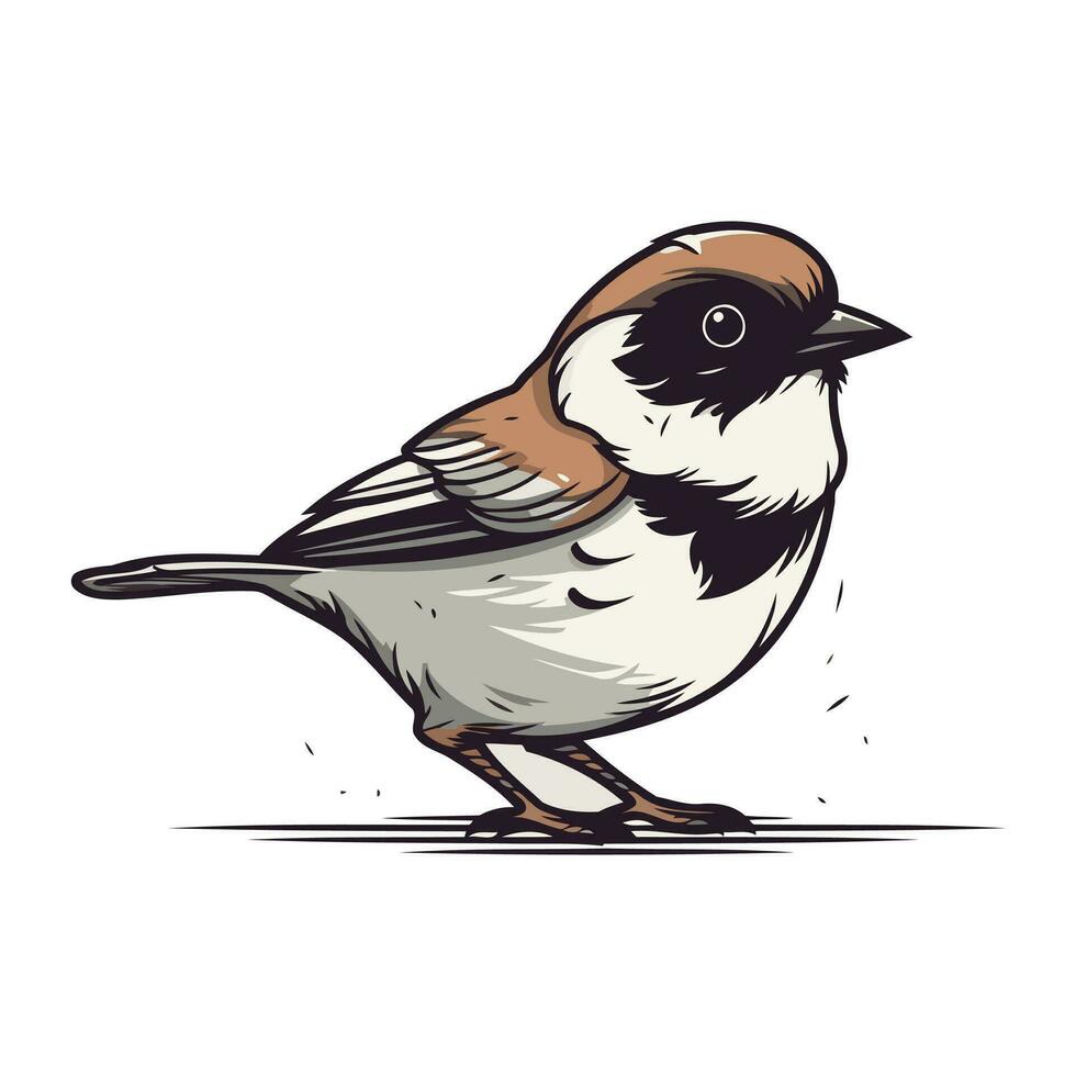 gorrión en un blanco antecedentes. vector ilustración de un pájaro.