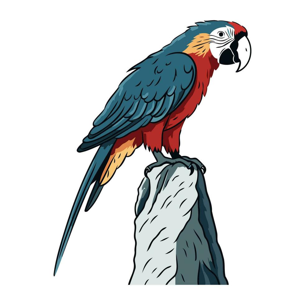 Parrot on the rock. Vector illustration isolated on white background.