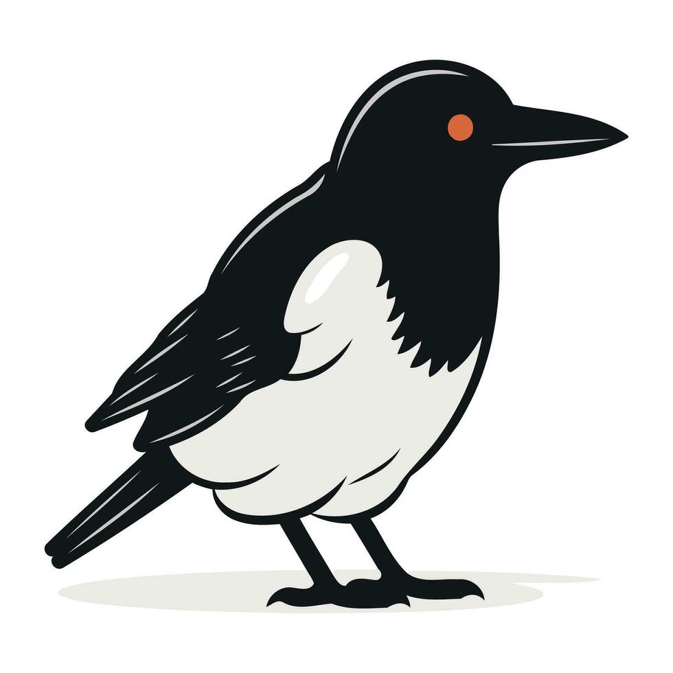 Magpie isolated on white background. Vector illustration in cartoon style.