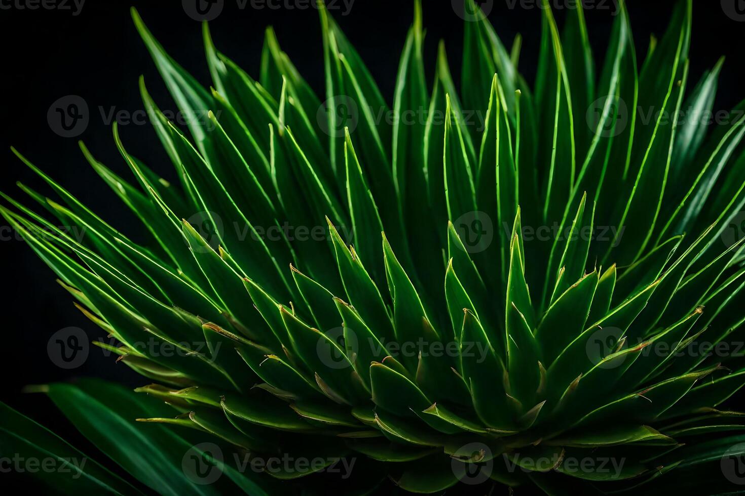 macro atención es cuando usted enfocar en en alguna cosa específico, me gusta pandan, y tomar un imagen de eso el antecedentes es todas oscuro en un estudio ai generado foto