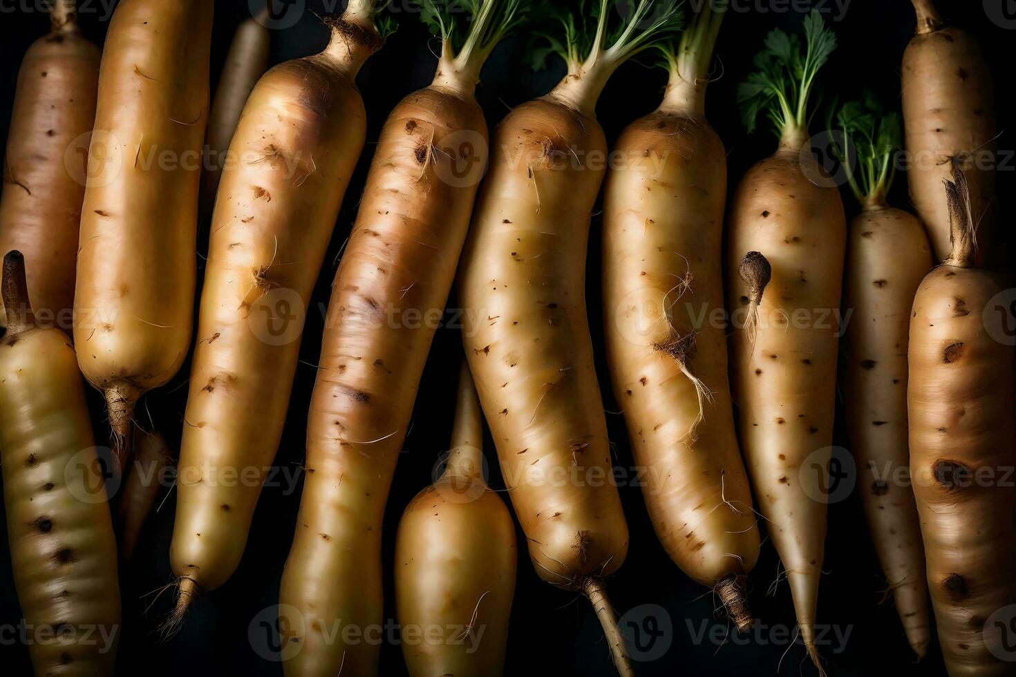 The macro lens is zoomed in on parsnips, which are placed against a dark background in a studio setting AI Generated photo