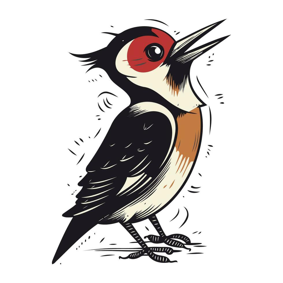 Dendrocopos major. great spotted woodpecker. vector illustration