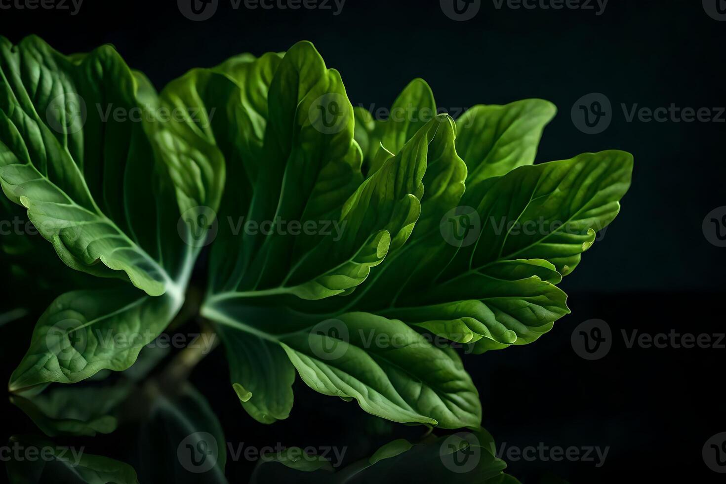 The camera is pointed at Choy, who is all by himself in a studio with a dark background Please rewrite the text using simpler words photo