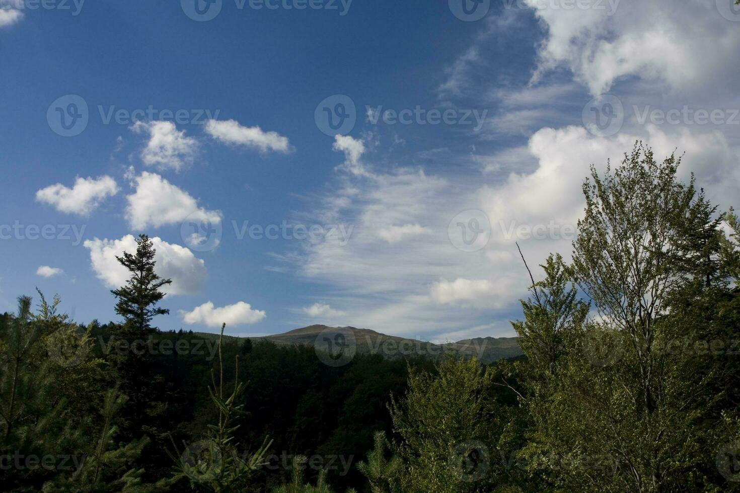 paisaje de naturaleza foto