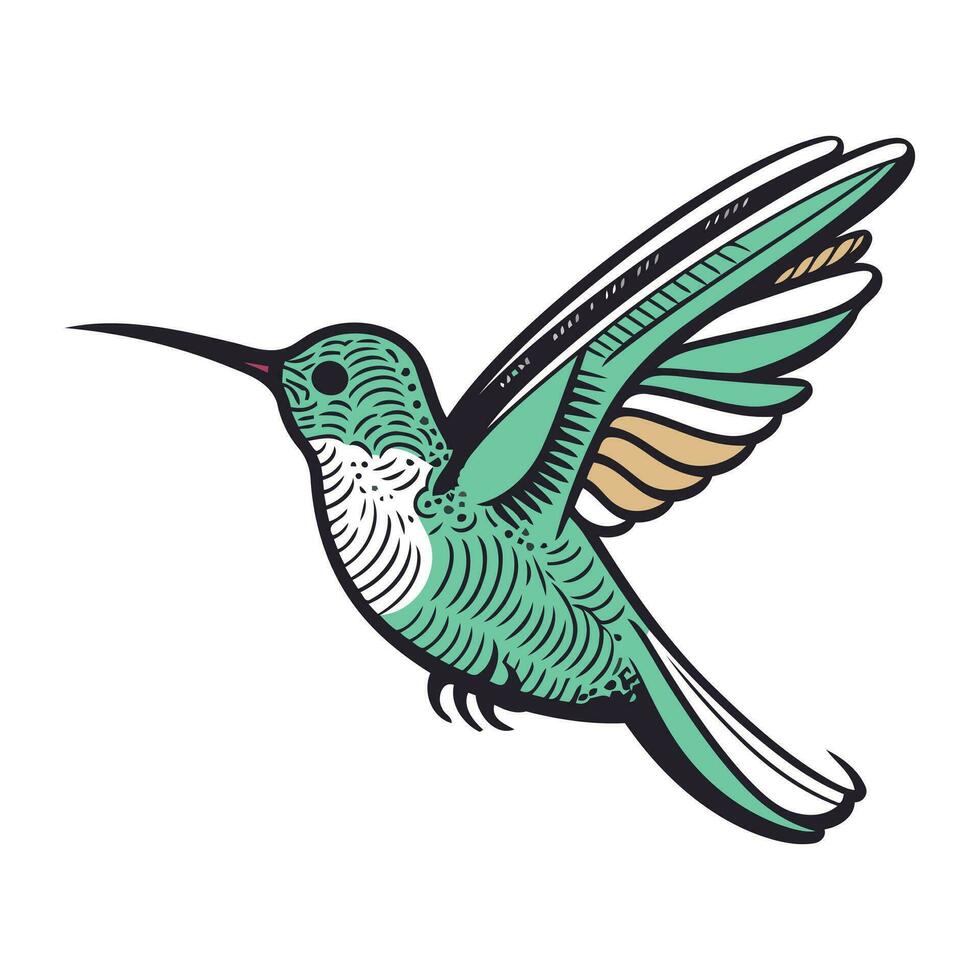 Hummingbird isolated on white background. Vector hand drawn illustration.