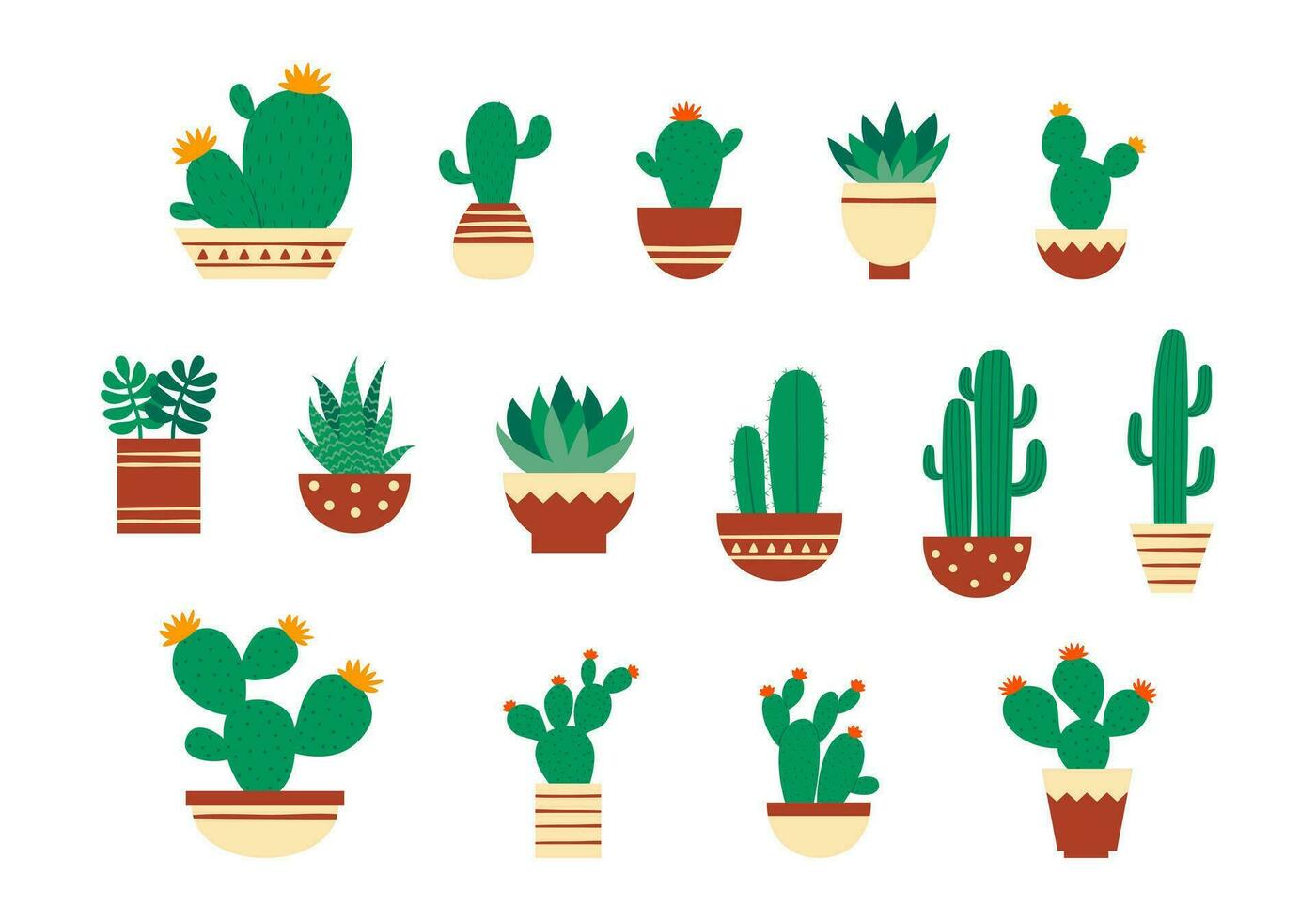 linda cactus planta ilustración conjunto vector