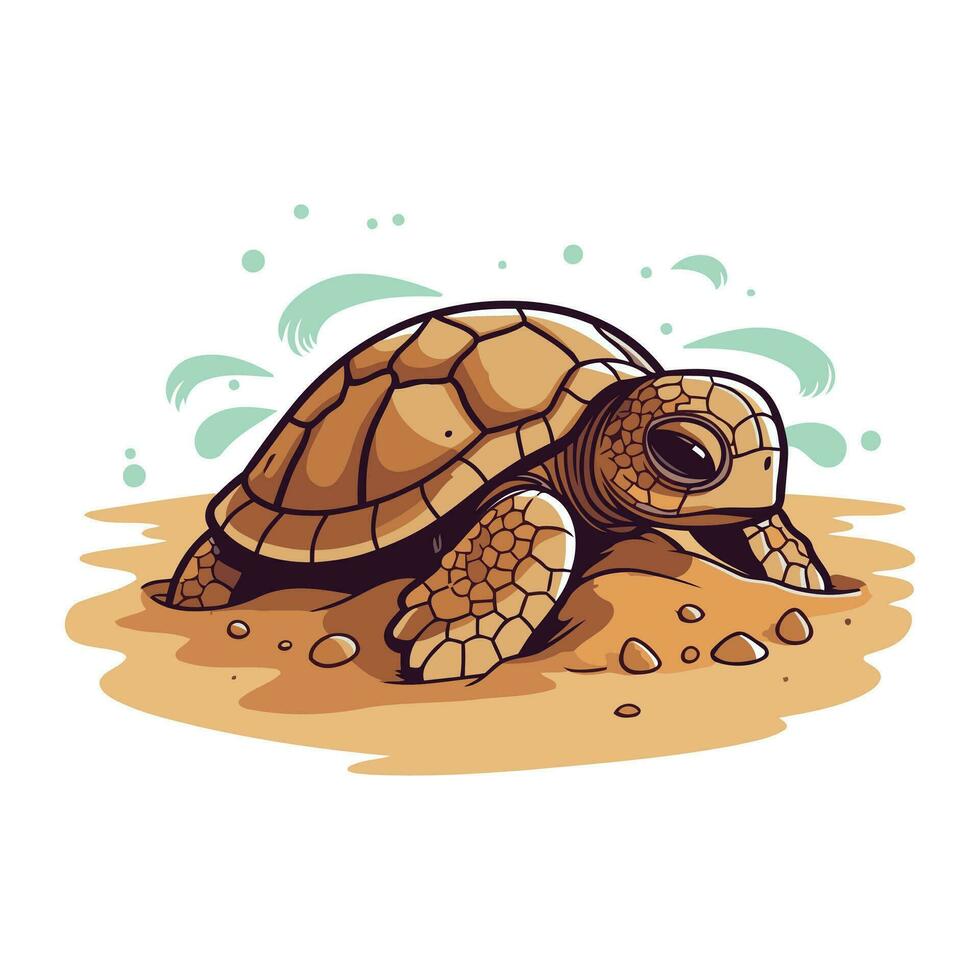 Turtle vector illustration isolated on white background. Cute cartoon turtle.