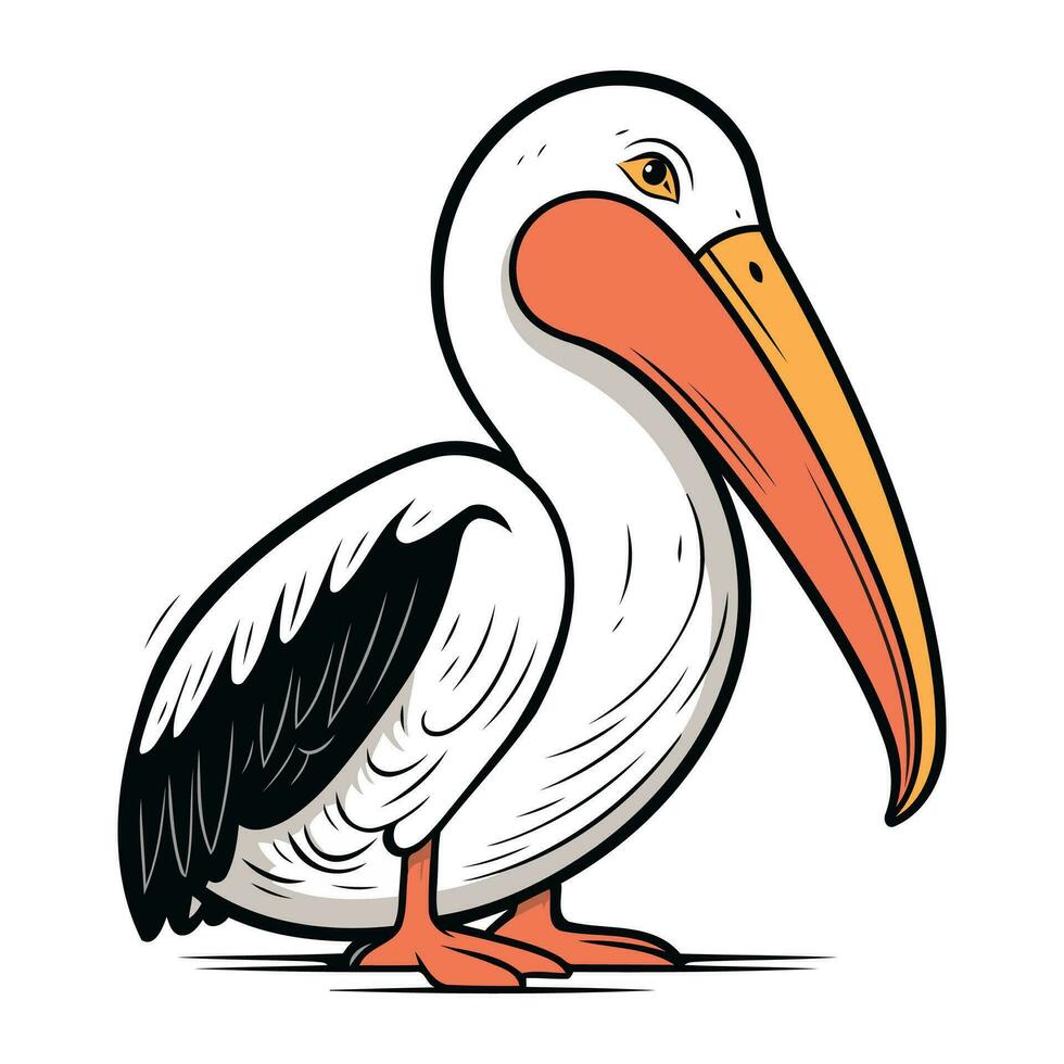 Pelican bird isolated on white background. Cartoon vector illustration.