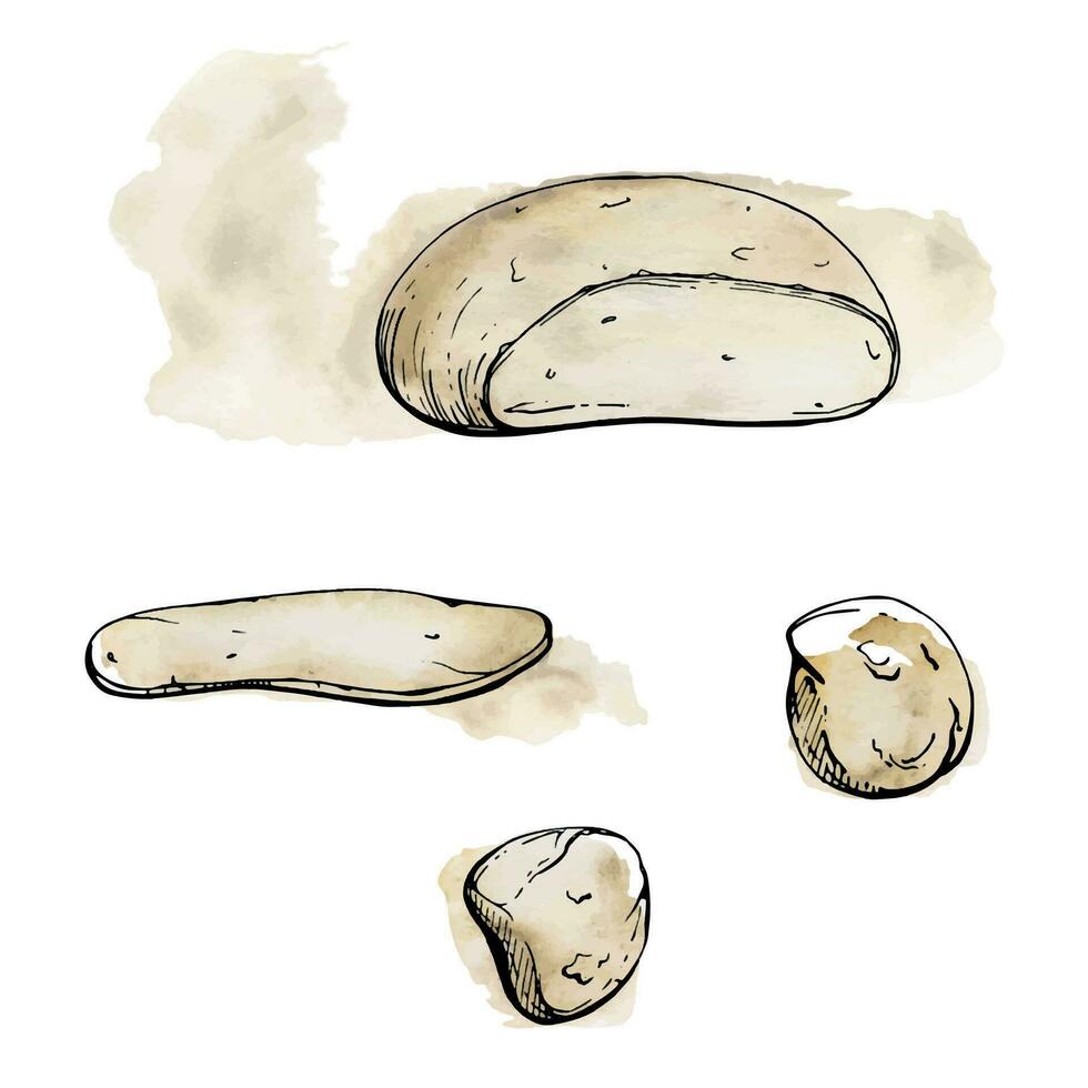 Hand drawn watercolor ink illustration. Mozzarella burrata cheese, full head slice, dairy product. Single object isolated on white. Design for restaurant, menu, cafe, food shop package, flyer, print. vector