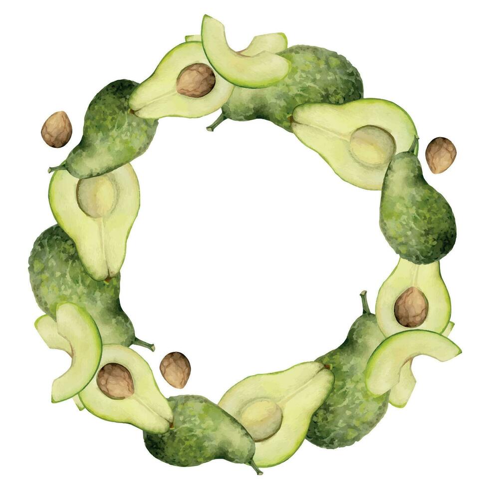 mano dibujado acuarela verde aguacate vegetal para dieta y sano estilo de vida, vegano cocinando. ilustración circulo guirnalda marco aislado en blanco antecedentes. diseño póster, imprimir, sitio web, tarjeta, menú vector