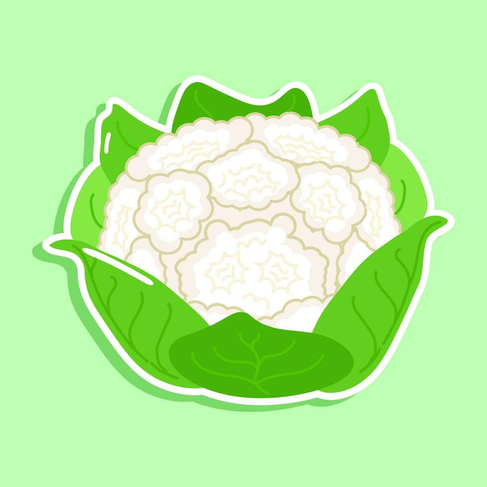 Cauliflower sticker character. Vector hand drawn cartoon kawaii character illustration icon. Isolated on green background. Cauliflower character concept