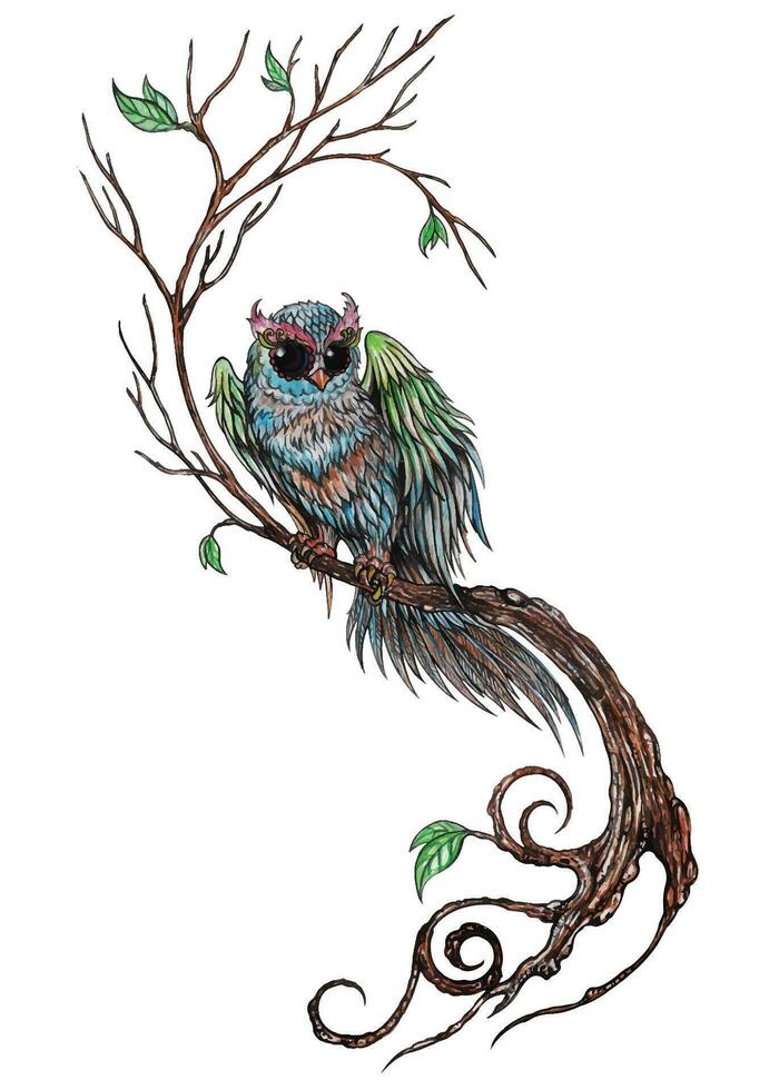 Art fancy owl hand painting on paper make graphic vector. vector