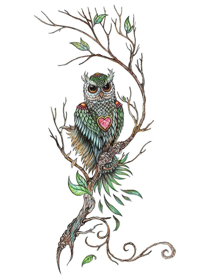Art fancy owl hand painting on paper make graphic vector. vector