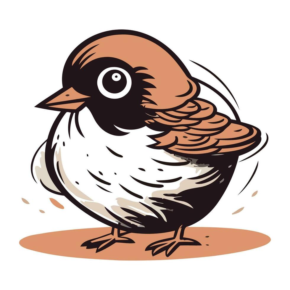 Sparrow. Vector illustration. Isolated on white background.