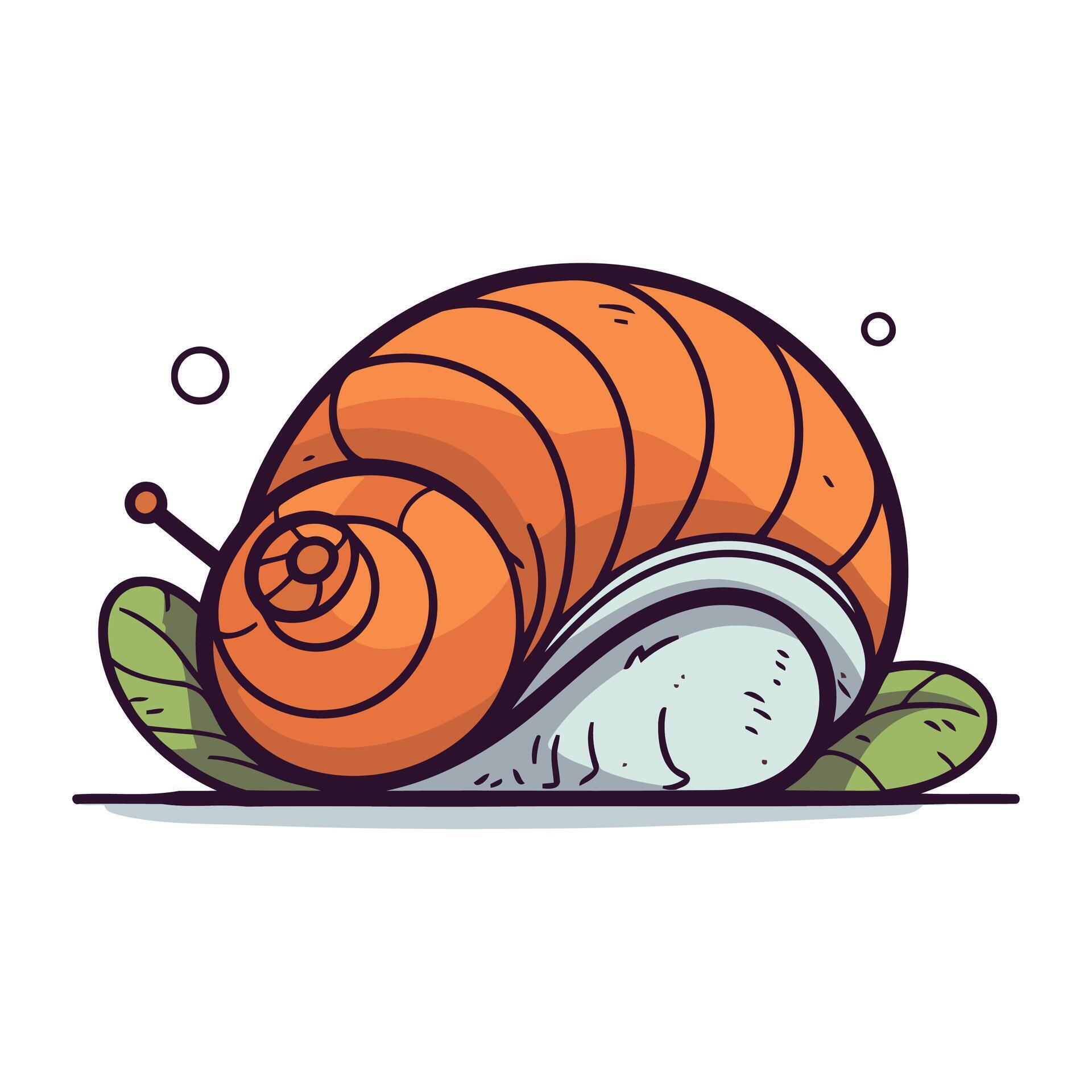 Cartoon snail. Vector illustration of a snail on a white background