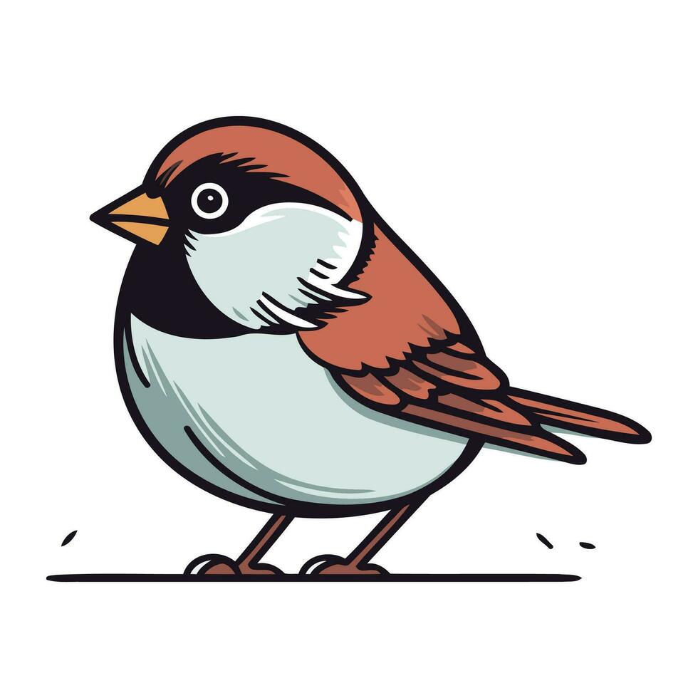 gorrión. vector ilustración de un pájaro en un blanco antecedentes.