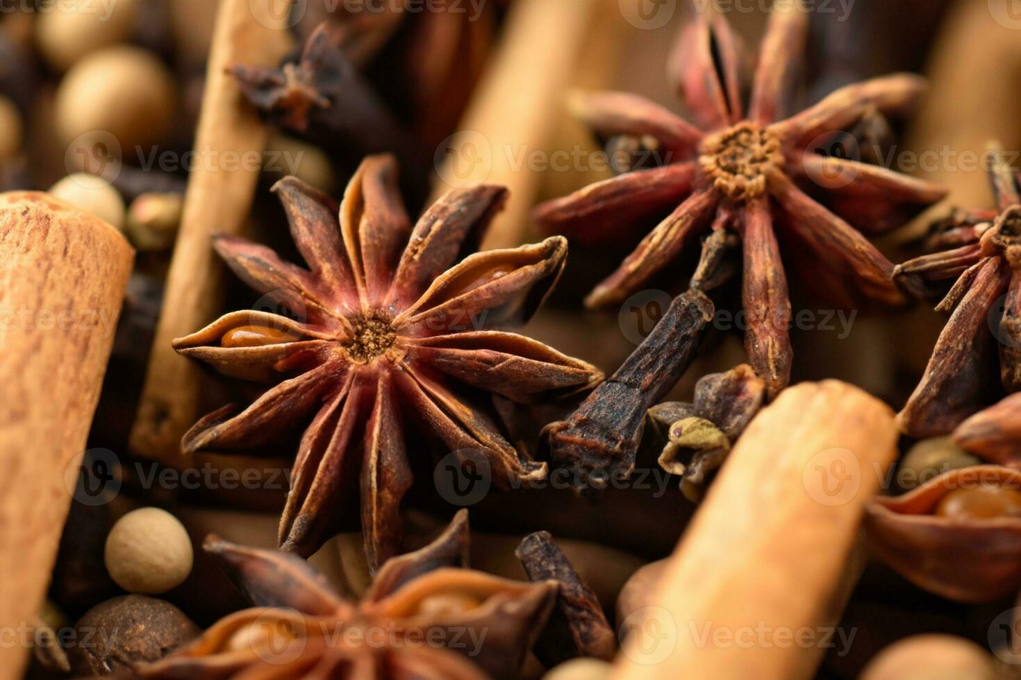 Spice Realm Enchanting Rempah is a captivating collection that transports you to a world of aromatic spices and exotic flavors photo