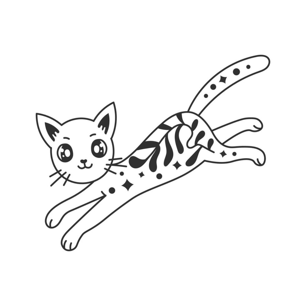 gracioso gatito con botánico ornamento y estrellas vector