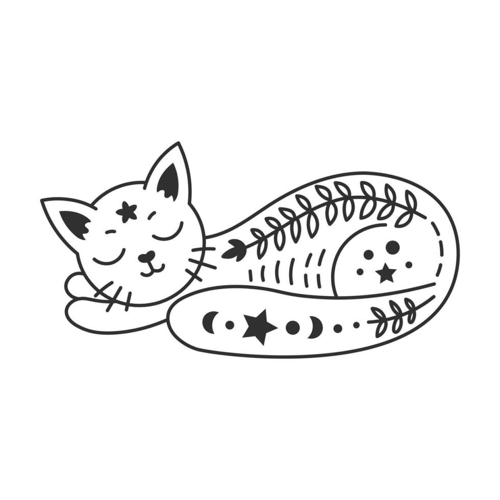 Celestial cat sleep doodle vector
