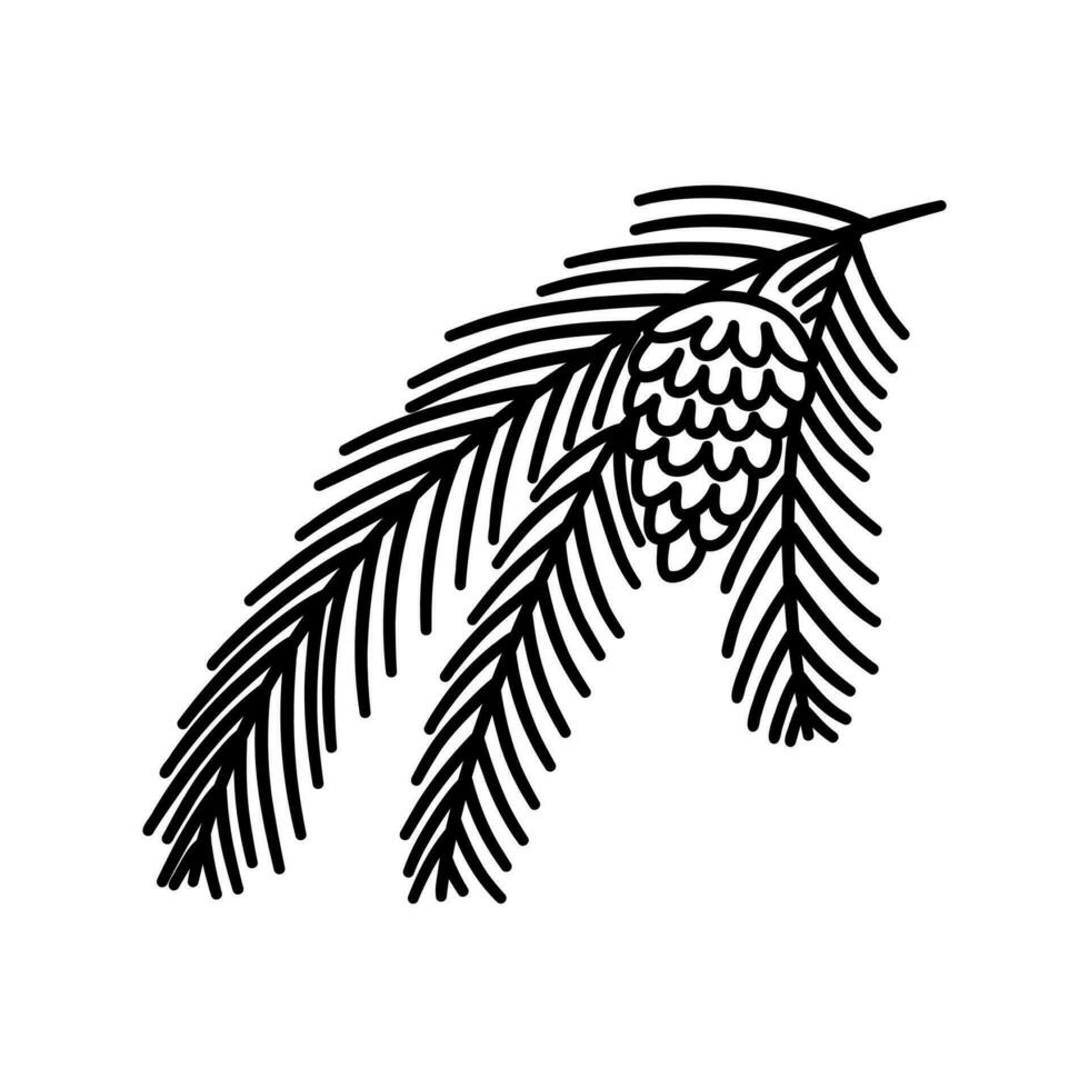 Pine or spruce branch with cone. Vector hand drawn