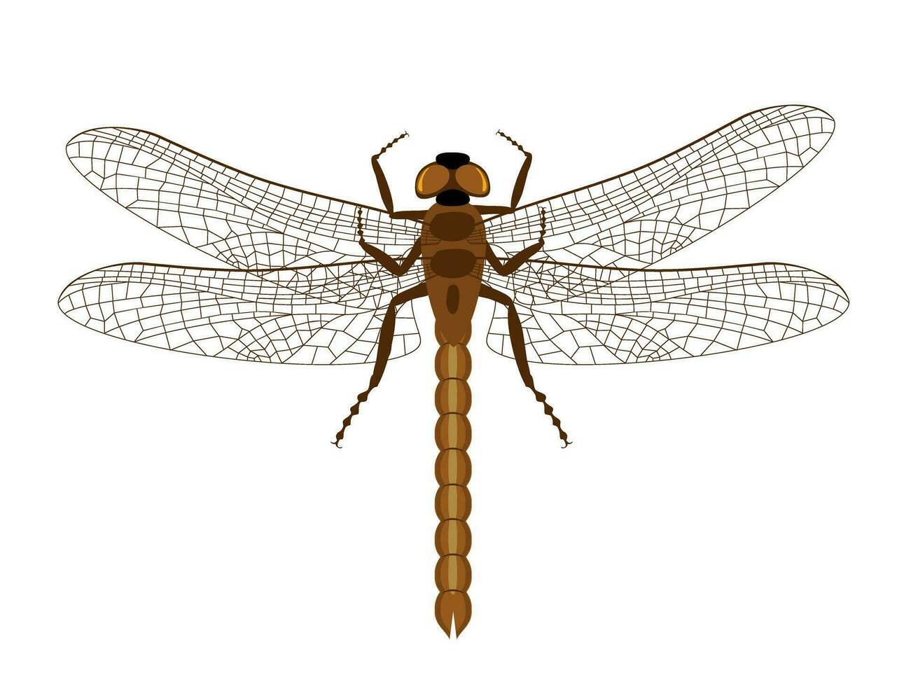 Dragonfly with delicate wings. Top view of blue dragonfly with transparent wings. Decorative element for embroidery, patches, stickers. Flat colorful vector