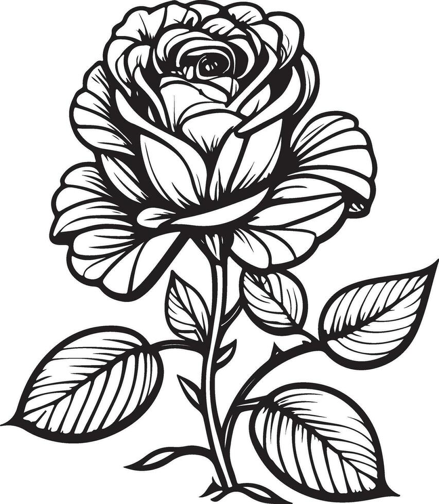 Black and white flowers, sketch, rose. vector