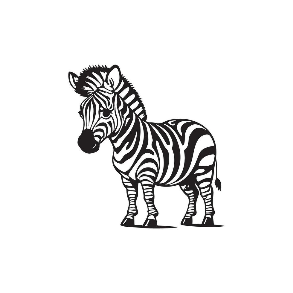 Zebra vector illustration of kids alphabet coloring book page with outlined clip art to color