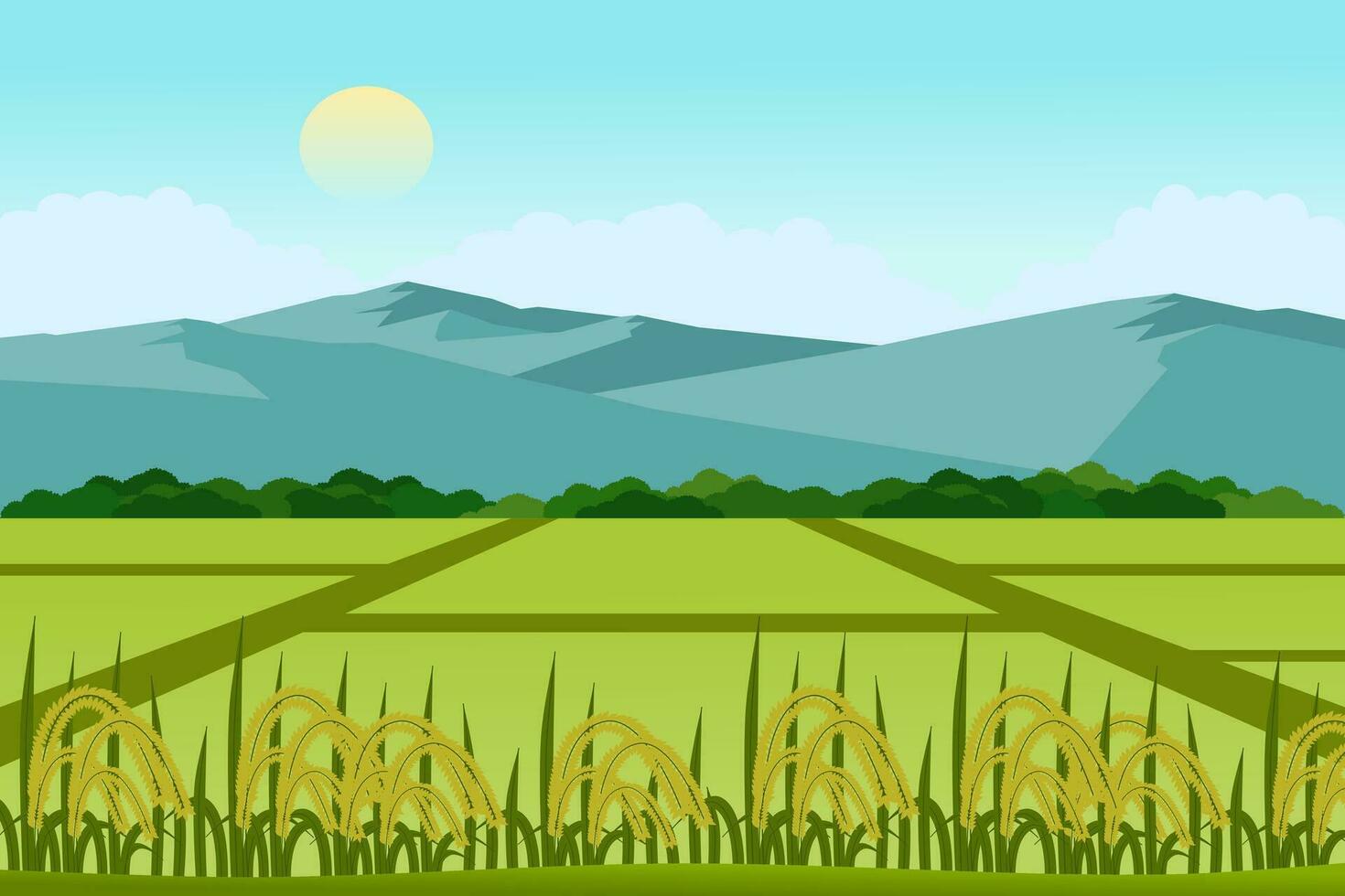 Beautiful rice and paddy fields landscape with mountains vector illustration. A view of a peaceful village.