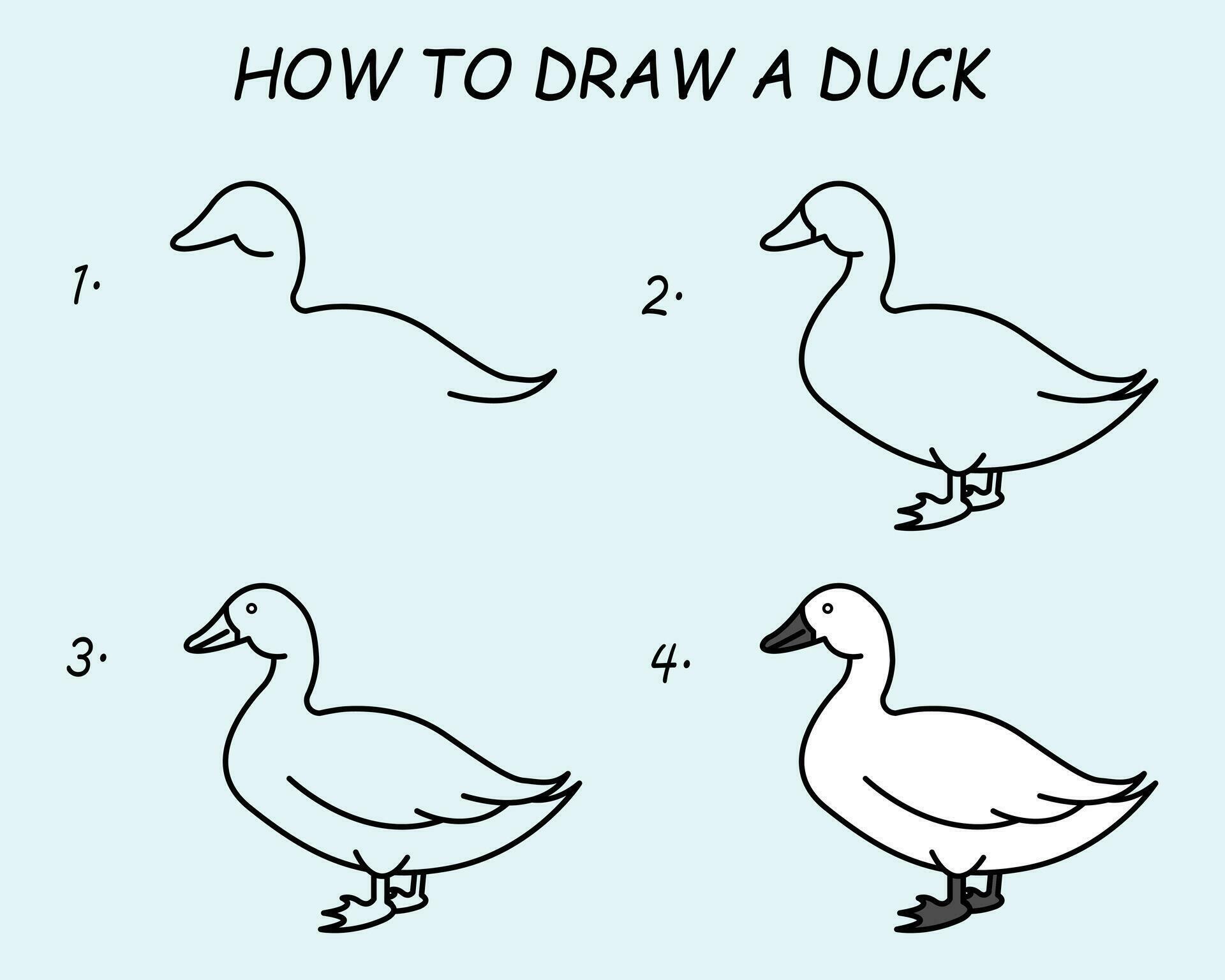 Step by step to draw a Duck. Drawing tutorial a Duck. Drawing lesson