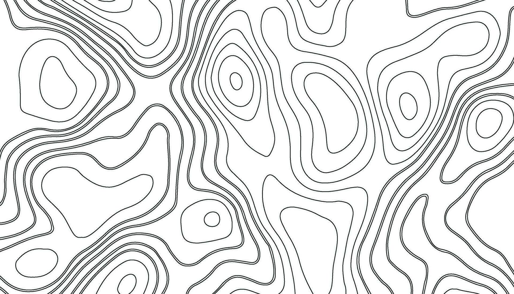 abstract pattern with lines. Background of the topographic map vector