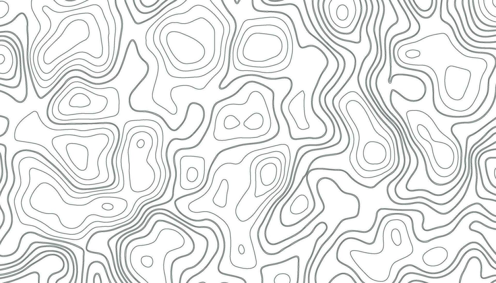 abstract pattern with lines. Background of the topographic map vector
