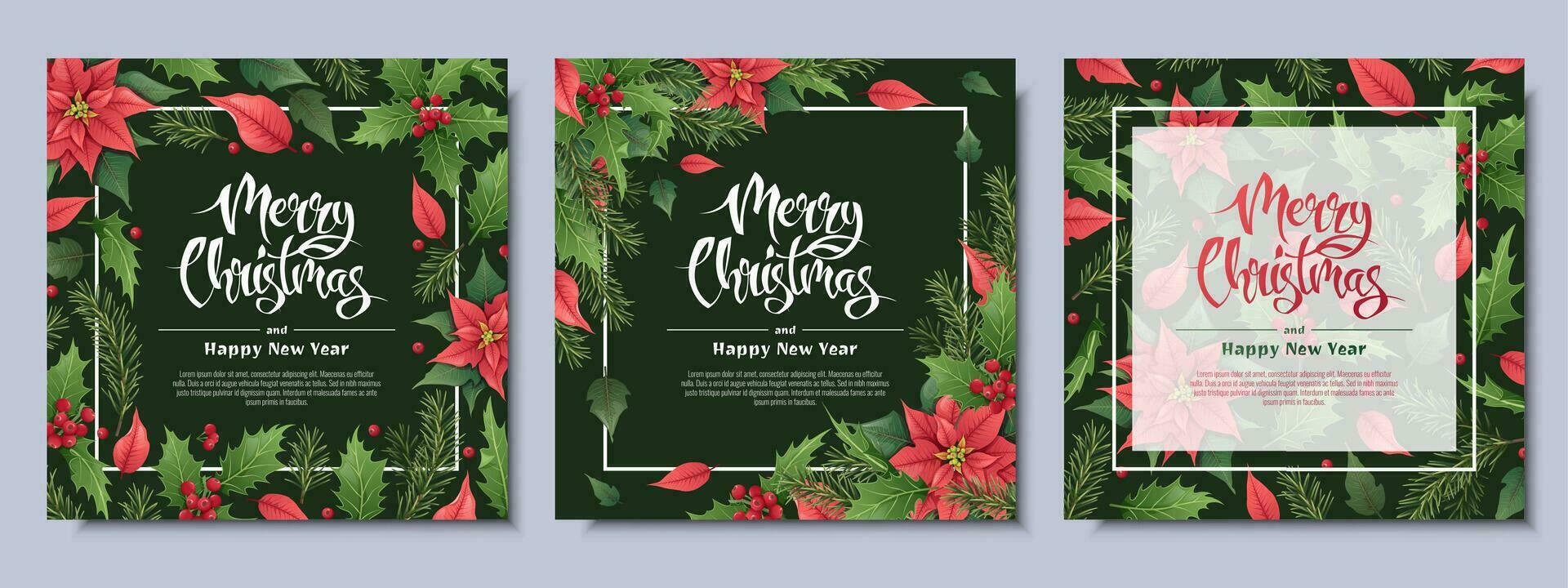 Set of Christmas greeting card, with winter plants, poinsettia, holly berry, spruce, traditional symbol.Vignette, frame, on a white background for greeting card, invitation, banner, flyer. vector